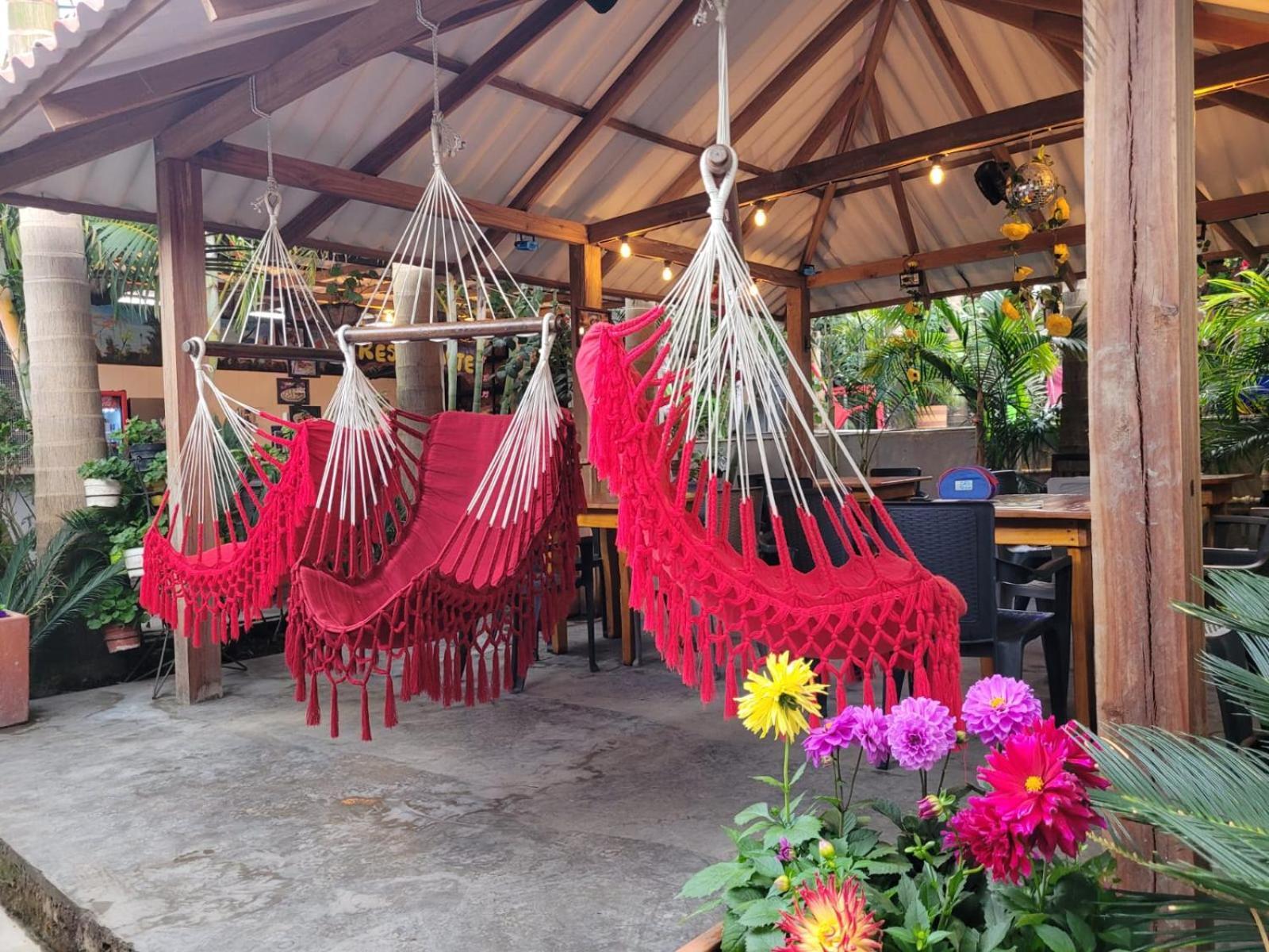 Hostal Hilltop Salento Exterior foto